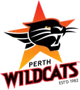 Pro team logo